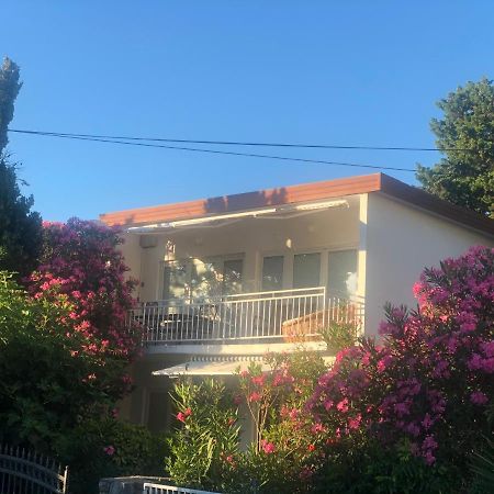 Apartmani Focic 塞尔瑟 外观 照片