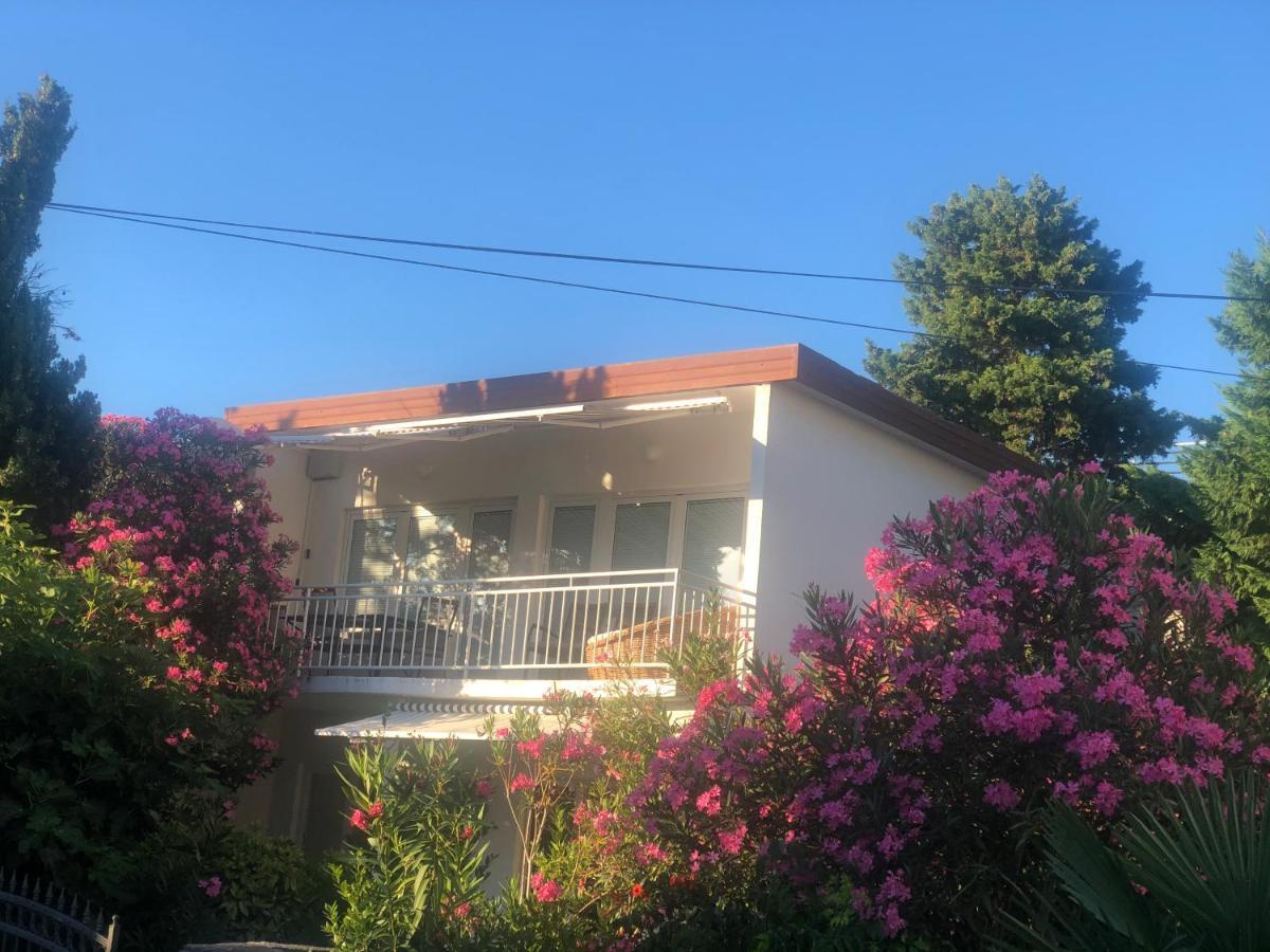 Apartmani Focic 塞尔瑟 外观 照片