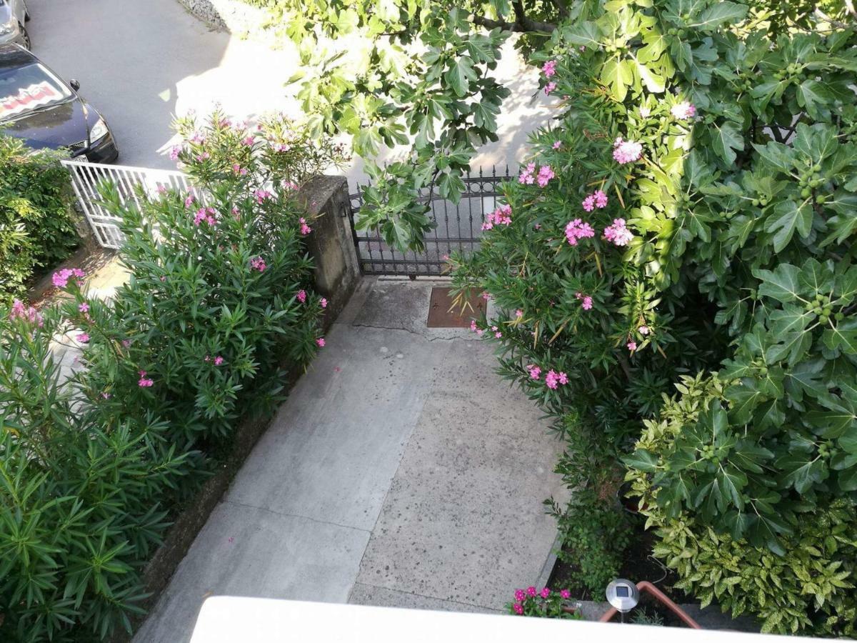 Apartmani Focic 塞尔瑟 外观 照片